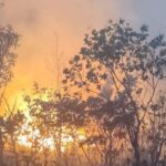 Queimadas em Goiás disparam em agosto e aumentam 152% em uma semana