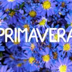 Chegada da primavera: saiba o que dizem a sabedoria ancestral e o horóscopo