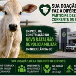 LEILÃO SOLIDÁRIO BUSCA RECURSOS PARA CONCLUSÃO DA NOVA SEDE DA POLÍCIA MILITAR EM NIQUELÂNDIA LEILÃO SOLIDÁRIO BUSCA RECURSOS PARA CONCLUSÃO DA NOVA SEDE DA POLÍCIA MILITAR EM NIQUELÂNDIA