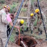 Bombeiros resgatam cavalo que caiu em poço de 3 metros de profundidade em Niquelândia Bombeiros resgatam cavalo que caiu em poço de 3 metros de profundidade em Niquelândia